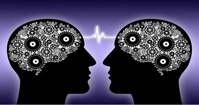 Jpg image of two heads with brain highlighted with gears showing a lighting bolt between the brains